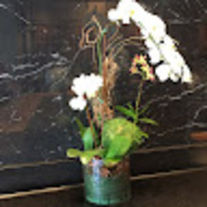 Meet your Posher, Deeanne